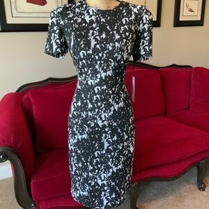 Brand New Stunning Calvin Klein Dress!